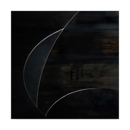 Gilbert Claes 'Blue Moon In The Dark' Canvas Art,24x24